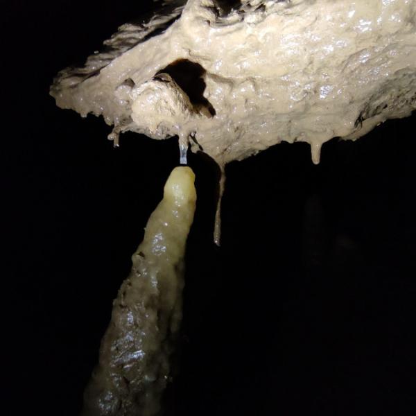 Goccia dopo goccia - Federico Alcini